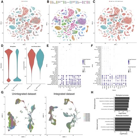 Comprehensive Integration Of Single Cell Data Cell