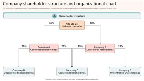 Company Shareholder Structure And Organizational Chart PPT Example