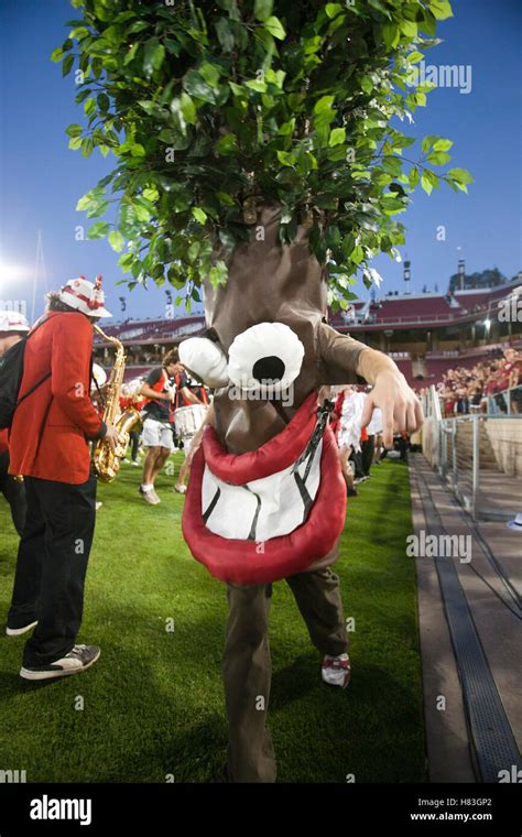 September 18 2010 Stanford CA USA The Stanford Cardinal Mascot