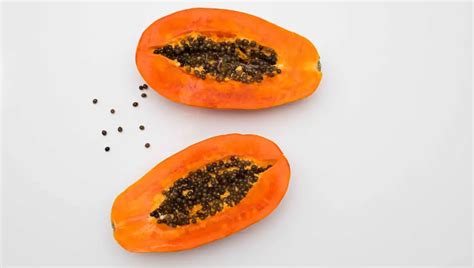 How To Grow Papaya From Seed In California Detailed Guide