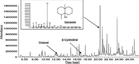 Chromatogram Headspace SPME And GC MS Scan From A Suspension Of