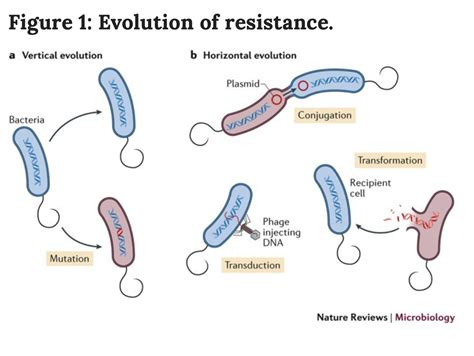 Reversing Antibiotic Resistance The Enemy Of Society Communicating Science 2018w109