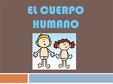 Power Point El Cuerpo Humano 2017 PPT