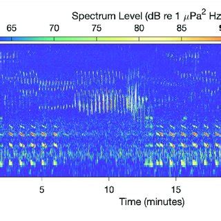 Acoustical Characterization Of The Recording Site A Map Showing