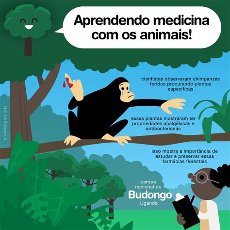 Aprendendo Medicina Os Animais Arvoreagua