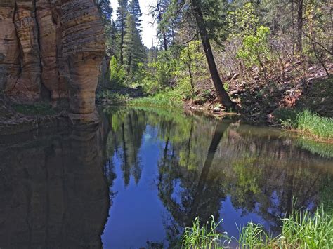 Reflections On A Pool Pumphouse Wash Arizona