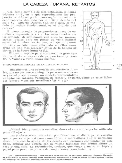 Pdf Como Dibujar La Cabe A Humana Y O Retrato Pdf Dokumen Tips