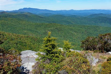 Hawksbill Mountain Trail on HikeWNC