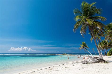 Les Meilleures Plages De Guadeloupe