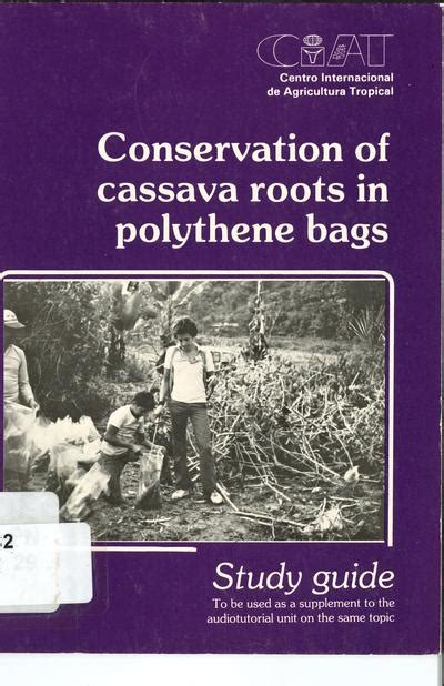 Conservation Of Cassava Roots In Polythene Bags