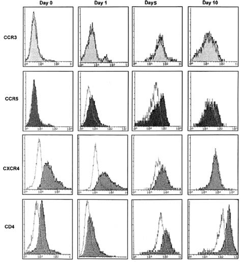 Cell Surface Expression Of Ccr3 Ccr5 Cxcr4 And Cd4 On Maturing