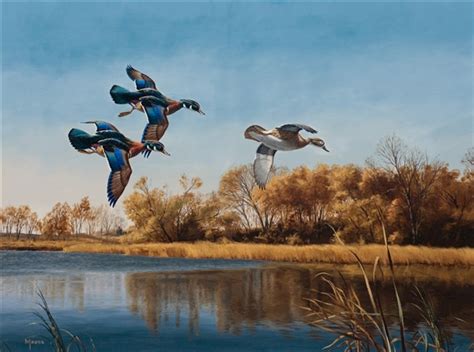 David Maass Wood Ducks Mutualart