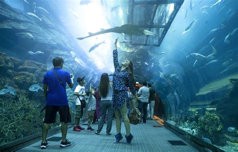 Nausica Bezoek Het Grootste Aquarium Van Europa Tickets Tips