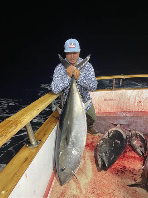 Smoked Bluefin Tuna Dining And Cooking