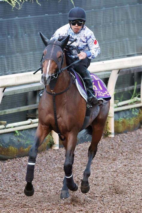 【中京記念】ダノンスコーピオン 1週前追いで53秒4 陣営「緩さが解消してよくなっている」 Umatoku 馬トク