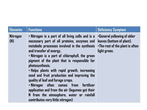 69 Macronutrients And Micronutrients In Plants Ppt