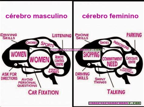 Reencontros Diferen As Entre O C Rebro Feminino E Masculino