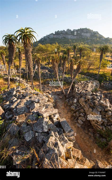 Shona People Traditional Hi Res Stock Photography And Images Alamy