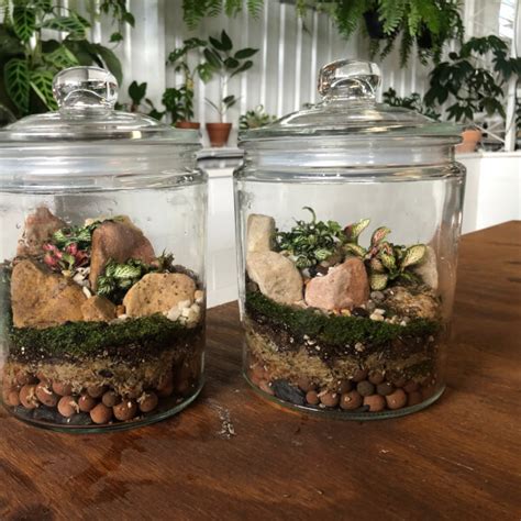 DIY Terrarium Workshop Brisbane Gifts ClassBento