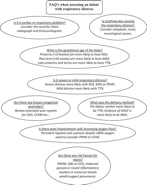 Figure 2 From Respiratory Distress Of The Term Newborn Infant Semantic Scholar