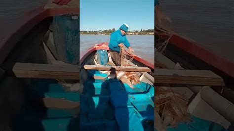 Pesca Con Trasmallo En El R O Paran Rosario Youtube