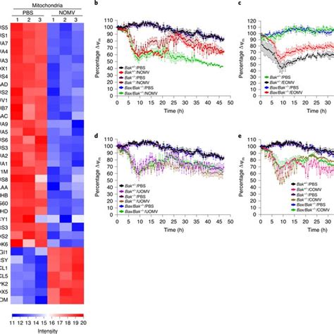 Omvs Trigger Mitochondrial Dysfunction A Heatmap Of Mitochondrial