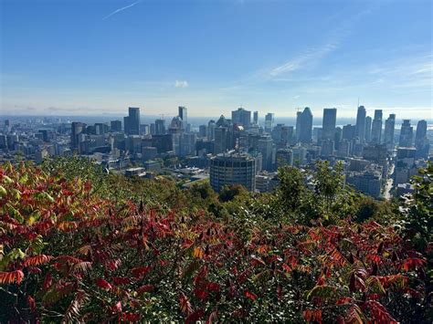 Riders are complaining about Traverse Sorel ticket price hikes 15