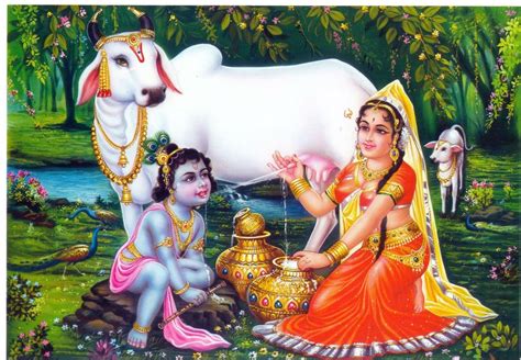 Lord Baby Krishna With Cow Images - All About Cow Photos