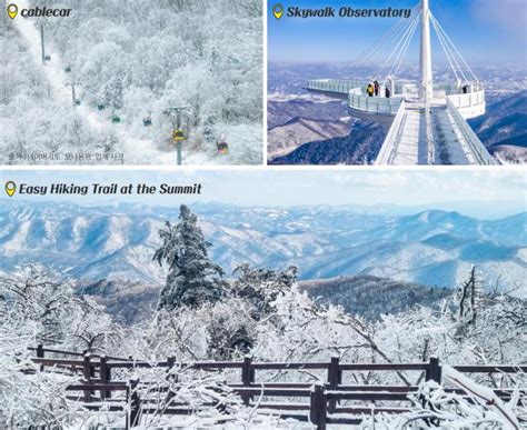 首尔出发 韩国最佳 3 处雪花一日游和当地餐厅（按地区划分） 发王山 And 五台山 And 闻庆新斋 Kkday