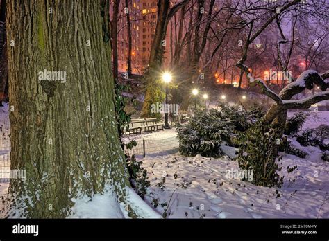 Central Park In Winter During Snow Storm At Night Stock Photo Alamy