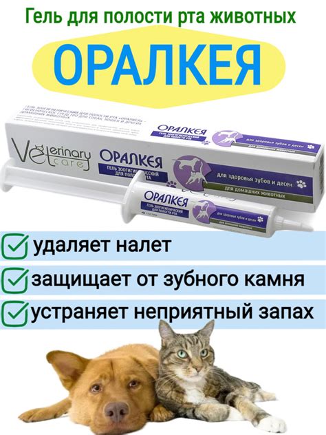 Зубной гель для чистки зубов собак, кошек, грызунов Оралкея, 20 мл ...
