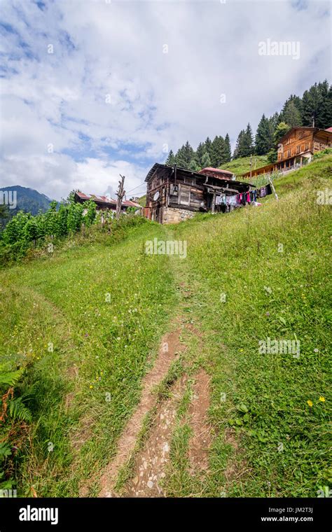 Ayder Plateau Rize Turkey The Ayder Valley Lies Between Rize And