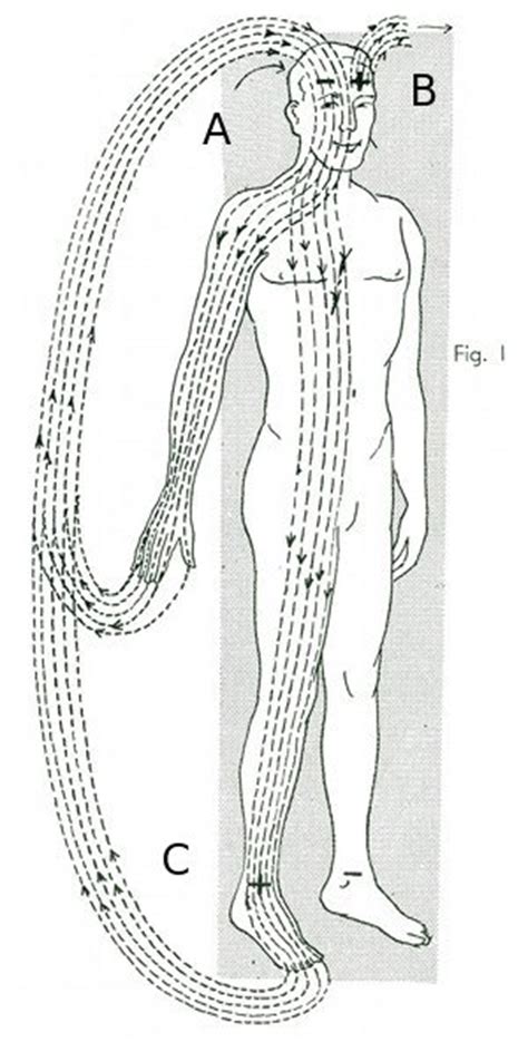 Polarity Therapy Volume 1 Book 2 Chart 05