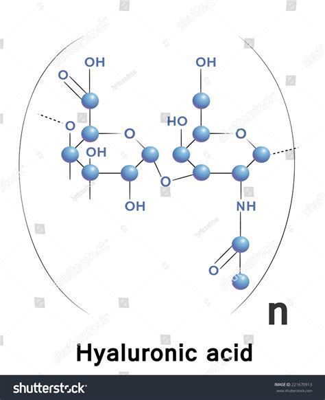 Hyaluronic Acid Chemical Formula Molecule Structure Stock Vector ...