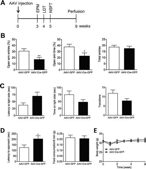 Adeno Associated Virus Aav Cre Mediated Leptin Receptor Leprb