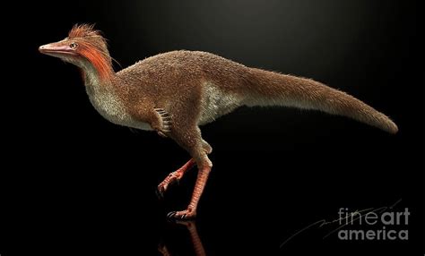 Albinykus Dinosaur Photograph By Masato Hattoriscience Photo Library