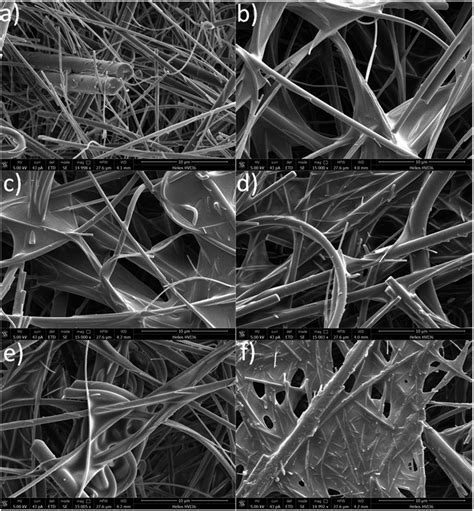 Sem Micrographs Of Cellulose Coated With The Functionalized