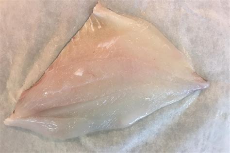 Ocean Catch New Zealand John Dory Fillet Boneless And Skinless Aussie Meat