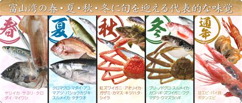 魚との 清水 富山湾の鮮魚・海鮮物等を産地直送でお届けする通販サイト