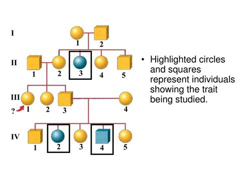 Dominant And Recessive Powerpoint