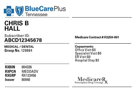 Bluecare Plus Dsnp Bcbs Of Tennessee