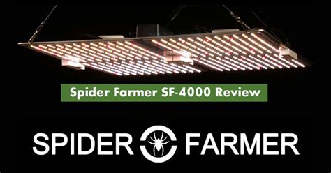 Spider Farmer Sf Led Grow Light Review Buds