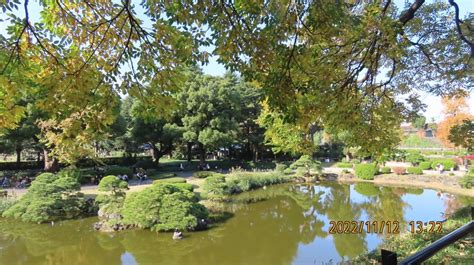 『久し振りに紅葉の日比谷公園を訪問④第一花壇のバラ見物より心字池へ』丸の内・大手町・八重洲東京の旅行記・ブログ By Tsunetaさん