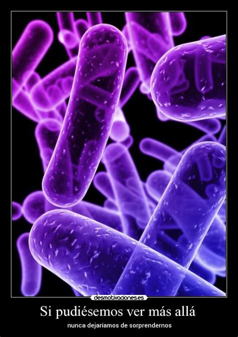 Im Genes Y Carteles De Bacterias Desmotivaciones