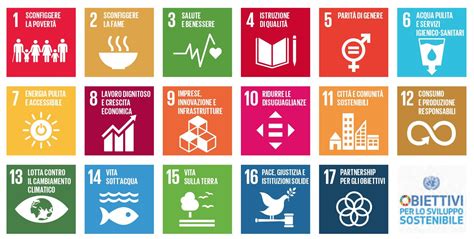 SDGs E Agenda 2030 17 Obiettivi Per Cambiare Il Mondo EnergyCuE