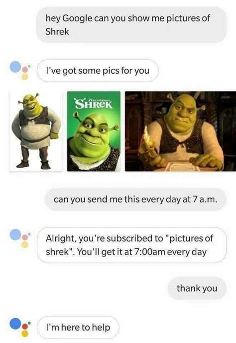 No Niewiem Memy Shrek Memes Stupid Funny Memes Stupid Memes