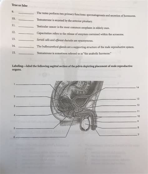 Anatomy And Physiology Archive May 14 2019 Chegg