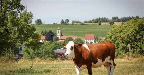 Photos Mon Beau Village En Visite Villars Le Sec Haut Lieu De L