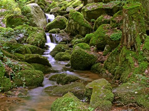 Wildromantische Schlucht