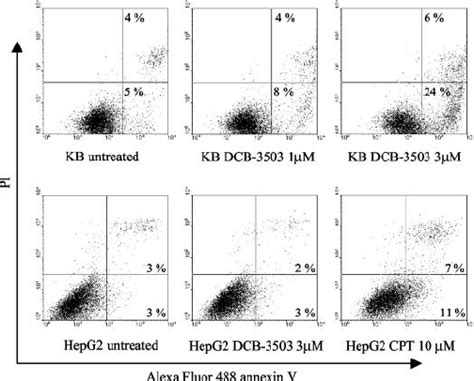 Dcb 3503 Does Not Induce Apoptosis In Hepg2 Cells Untreated Or Dcb